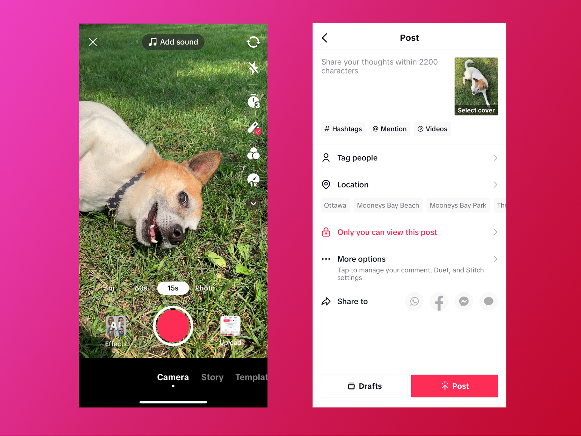 Record, edit, and upload videos directly within the TikTok app.