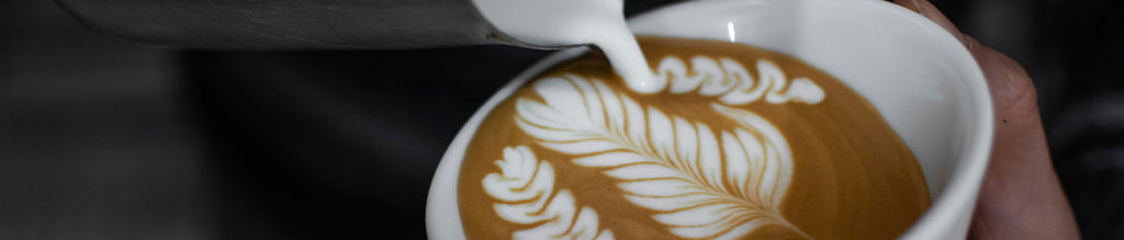 Coffee Fest 2024: A Day of Caffeine, Creativity, and Community!