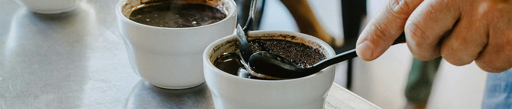 Coffee Fest 2024: A Day of Caffeine, Creativity, and Community!