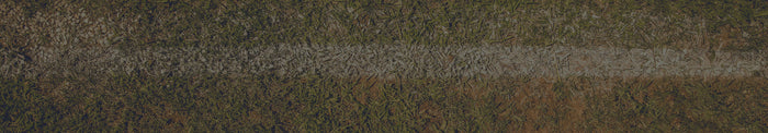 Indianapolis Colts Banner Image