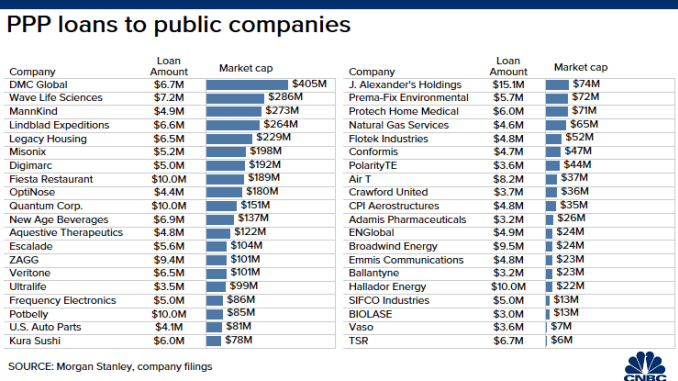 PPP Loans to Public Companies