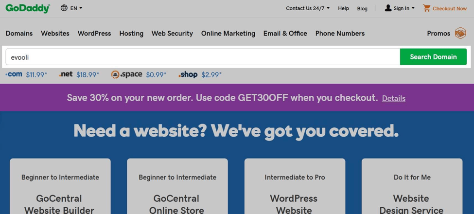 godaddy domain buy
