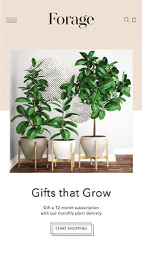 Pré-visualização móvel do tema Foodie no estilo "Grow"